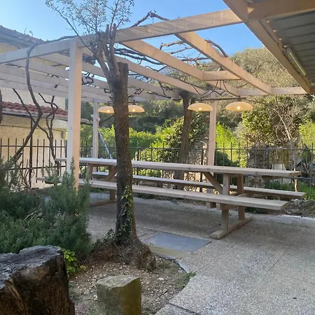 Wid House For Groups *