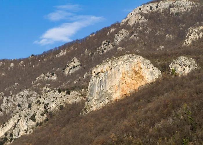 Wid House For Groups